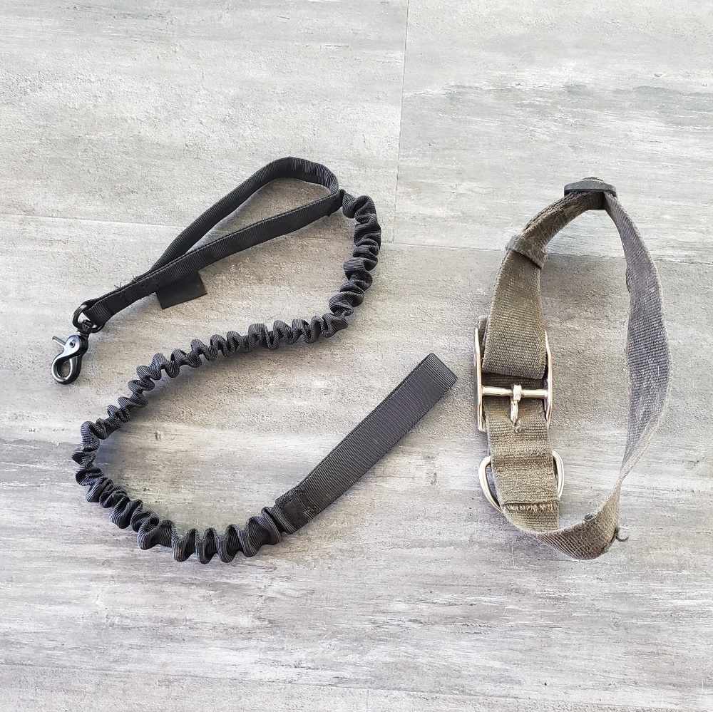 Black Running FDC Dog Leash w/Collar - Picture 2 of 2